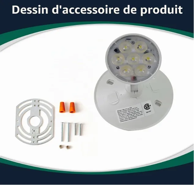 Éclairage d'urgence à distance avec tête unique – photo 2