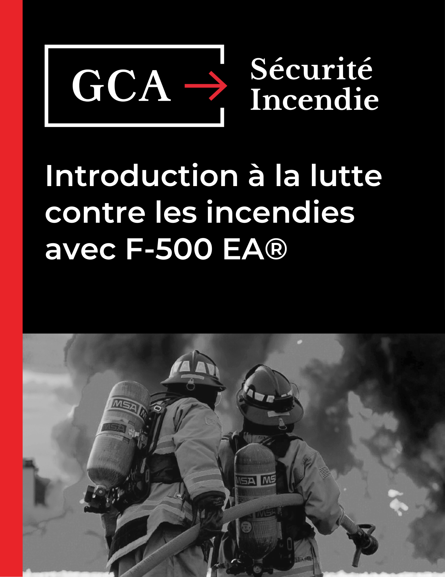 Extincteur F-500 EA®  Acier Inoxidable (WMH) – photo 5